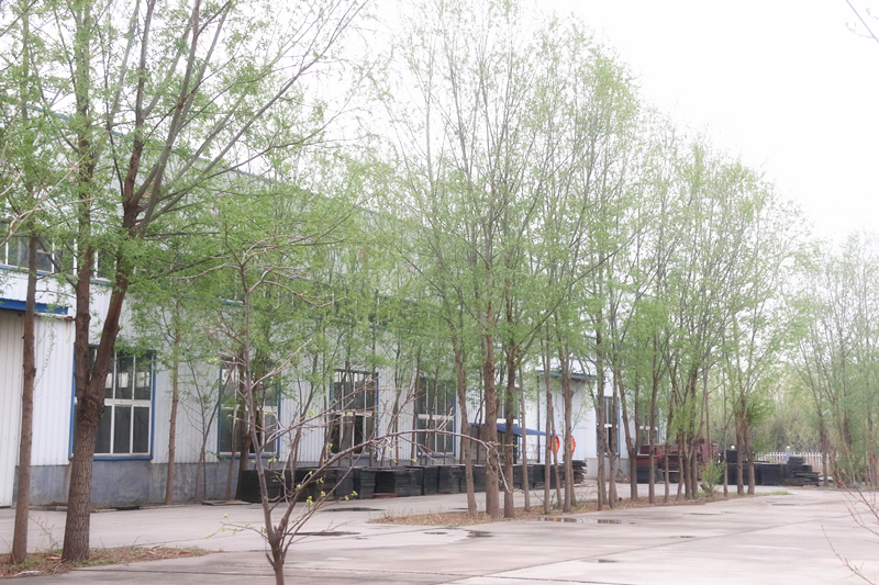 山東国产高潮又黄又嫩麻豆智能裝備有限公司園區一角